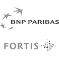 logo bnp