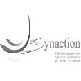 logo synaction